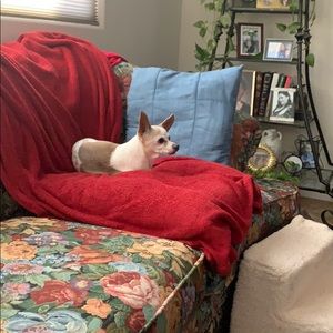 Meet your Posher, Donald